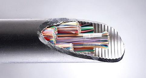 5 0.6 0.7 600对通信电缆 产品型号:             hya 产品展商